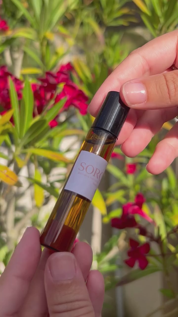 Charger la vidéo : 